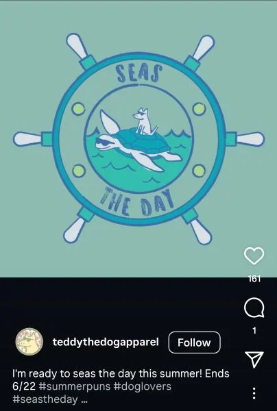 Summer puns - Instagram post with Seas the Day on it.