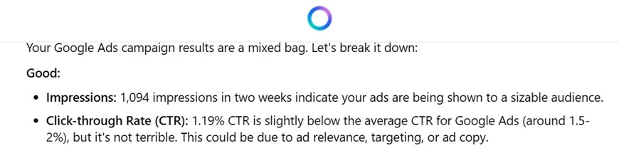 ai accuracy - example of using meta ai for ppc