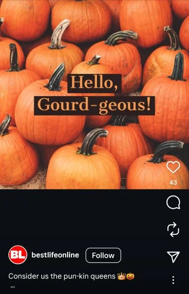 Fall Pers