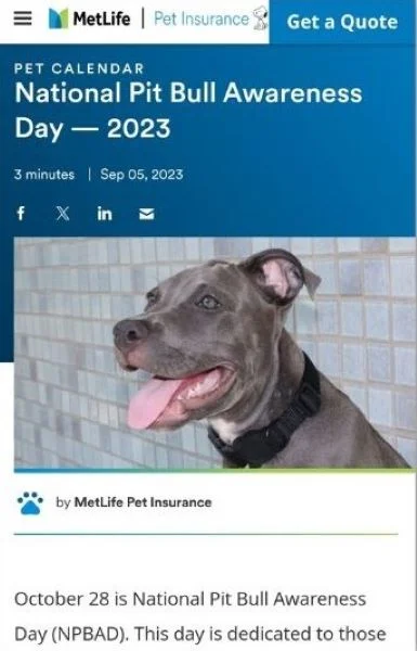 Fall content ideas - National Pitbull Day post.