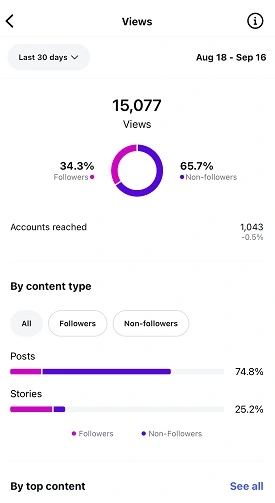 instagram marketing - insights page
