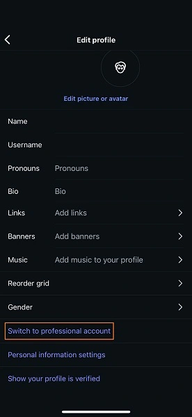 instagram marketing - professional account option