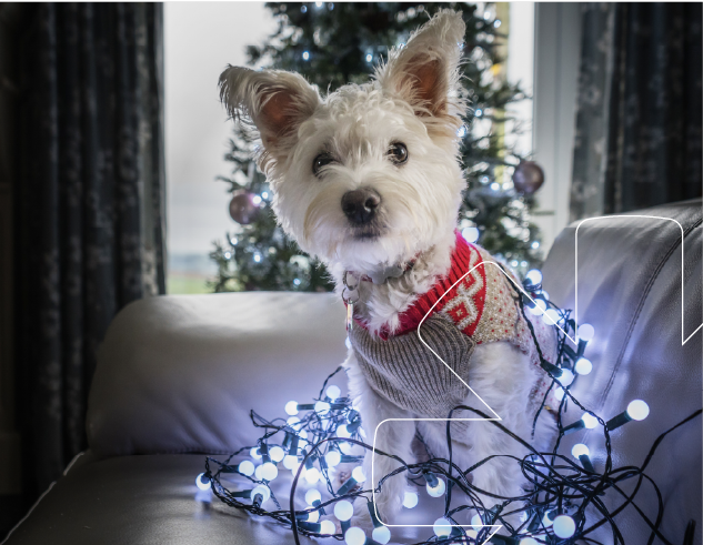 The Giant Guide to Cliché-Free Copywriting