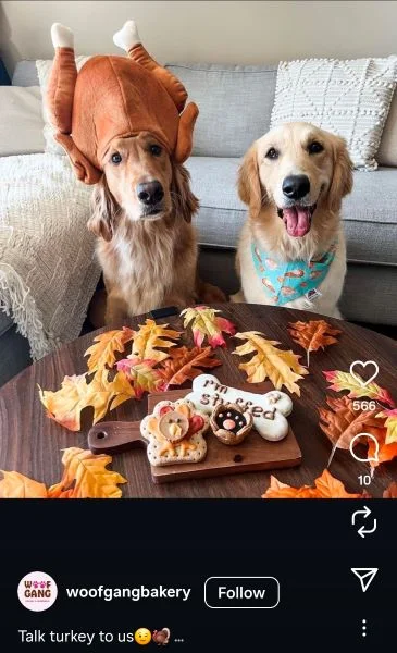 Thanksgiving puns - social post with dogs and puns.