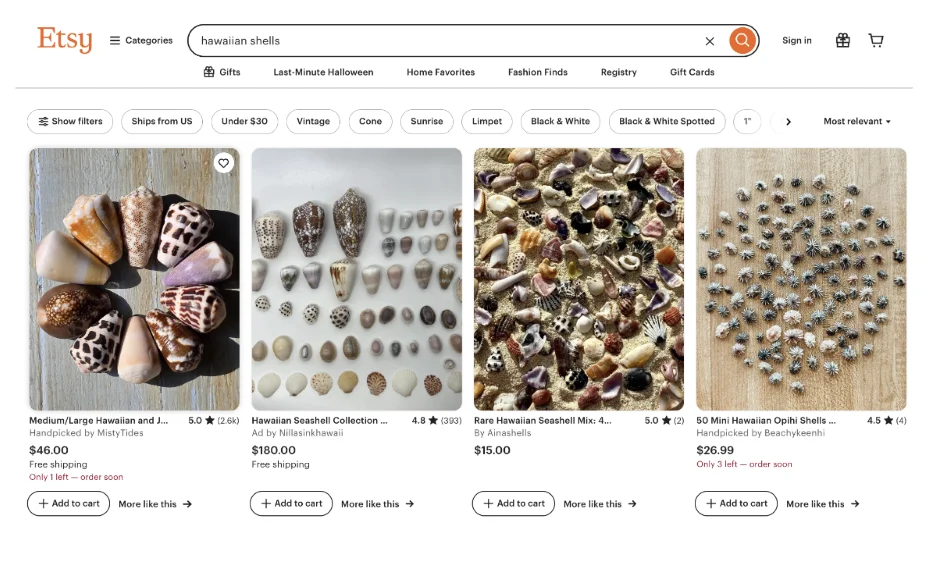 ecommerce marketing - Etsy screenshot.