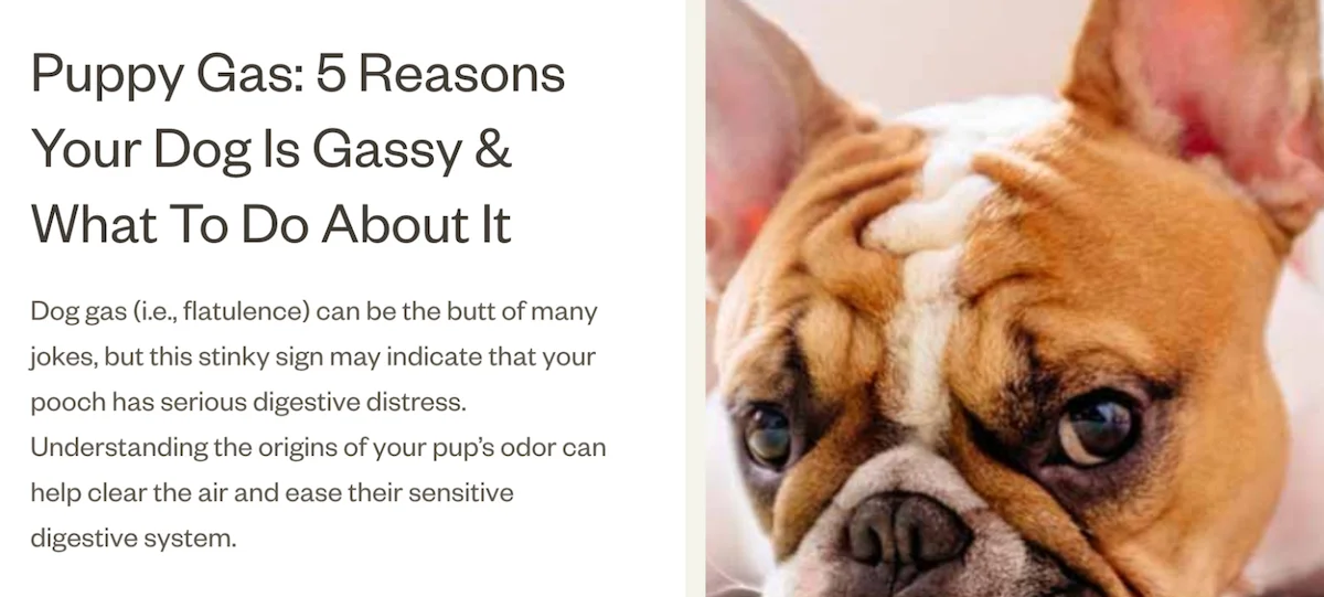 problem/solution headline formula example