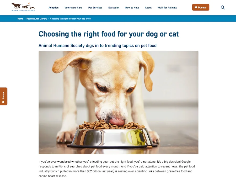 blog post example without author bio or information