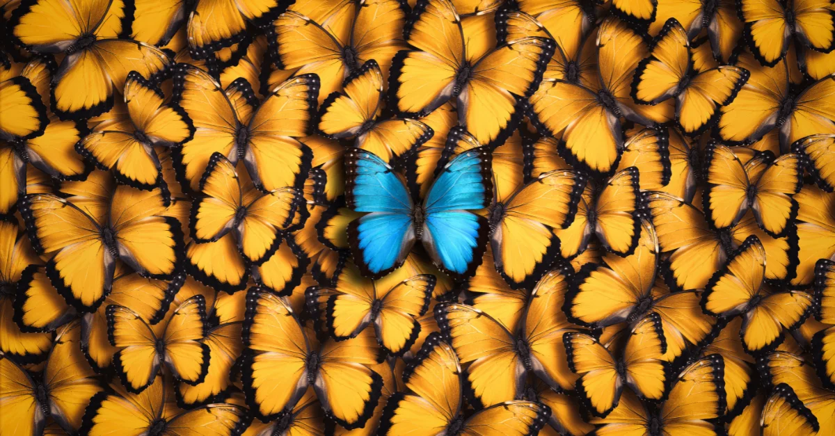 How to Build Brand Awareness (23 Ideas & Expert Tips)