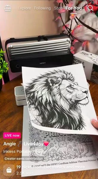 TikTok ads cost - printer ad.