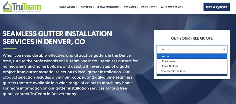 google ads lead quality - landing page example