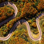 Google Ads Attribution Models Explained: Last Click vs. Data-Driven